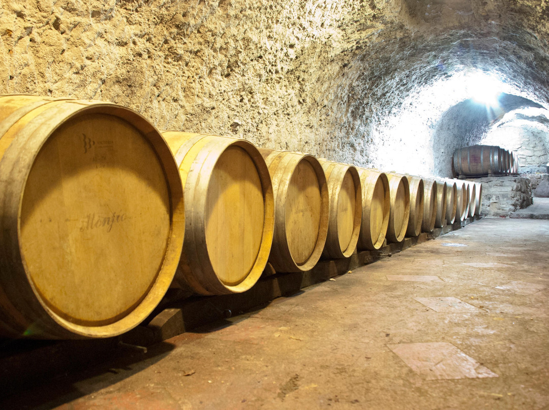 Bodega Esteban-Araujo-Torquemada必去景点