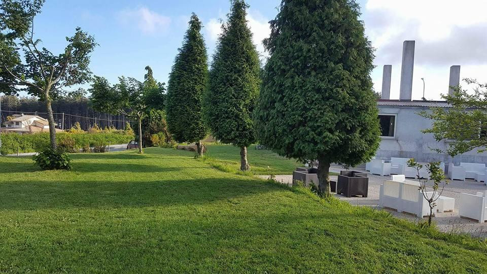 Canolo餐馆和美食-Ristorante da Cosimo