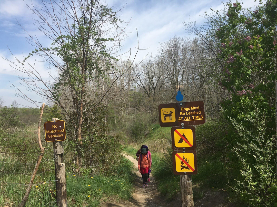 Komoka Provincial Park-伦敦必去景点