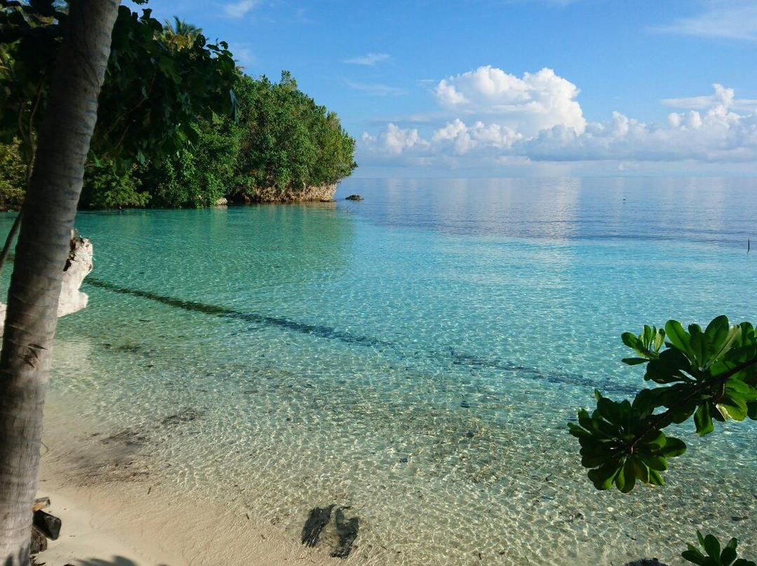 Bahia Tomini