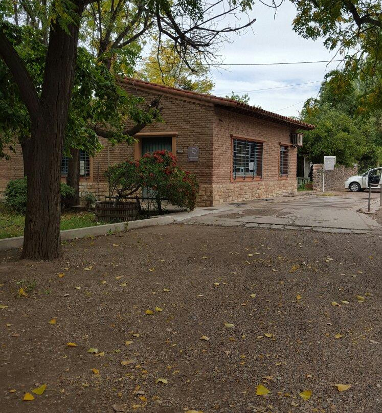 Bodegas y Vinedos Antonio Nerviani-Maipu必去景点