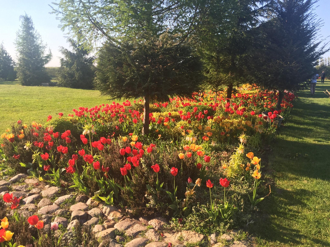 Botanical Garden Mellenthin景点图片