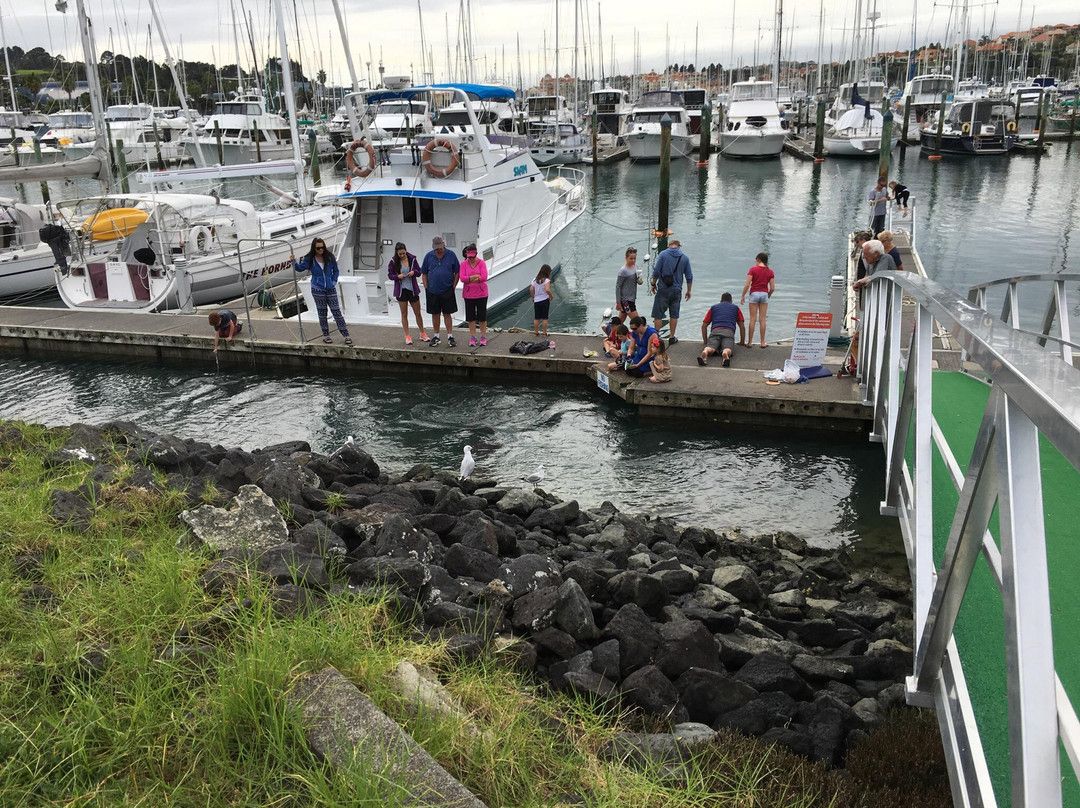 旺阿帕劳阿旅游景点-Gulf Harbour Marina