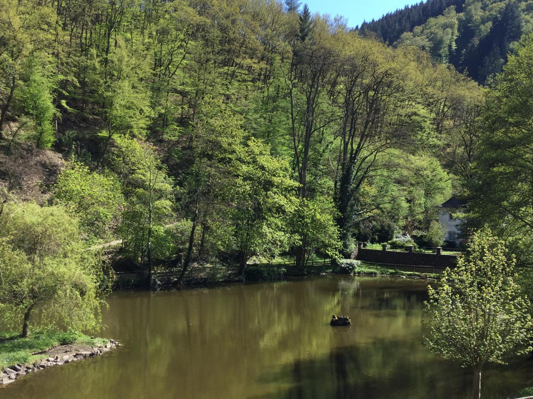 Bad Bertrich酒店住宿-Bertricher Hof
