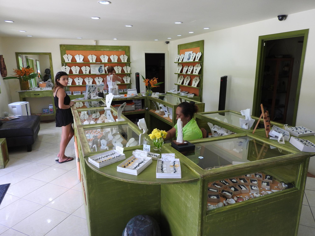 Raro Tours - Island Discovery Tours-拉罗汤加必去景点