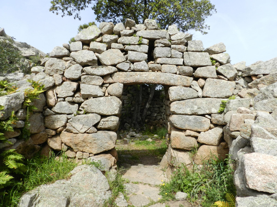 Tempio Nuragico Malchittu-Arzachena必去景点