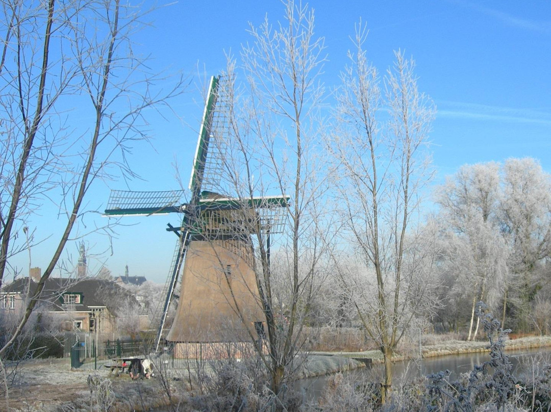 Poldermolen van de Zemelpolder景点图片