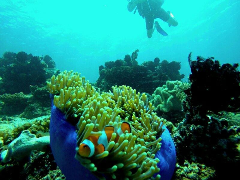 Desa Wisata Bentenan-万鸦老必去景点