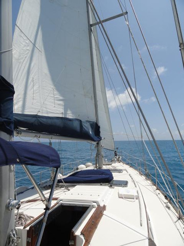 Bermuda Wind Sail Charters-汉密尔顿必去景点