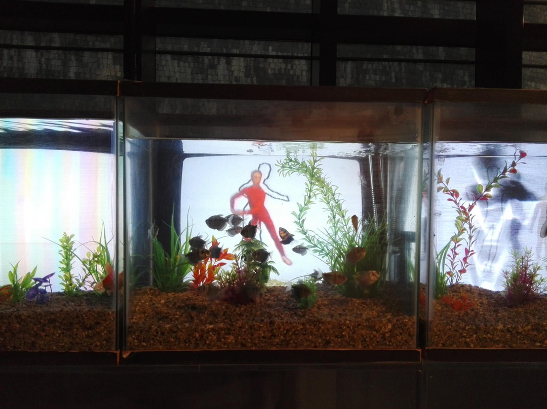 Nam June Paik Art Center-龙仁市必去景点