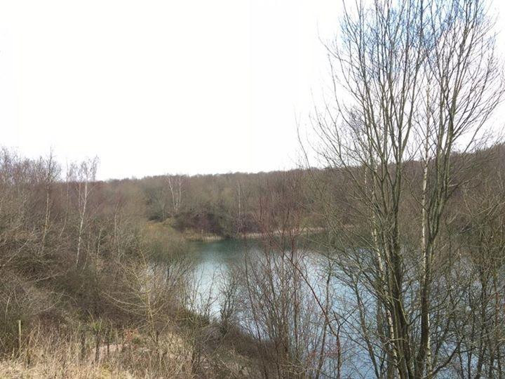 Swanwick Lakes景点图片
