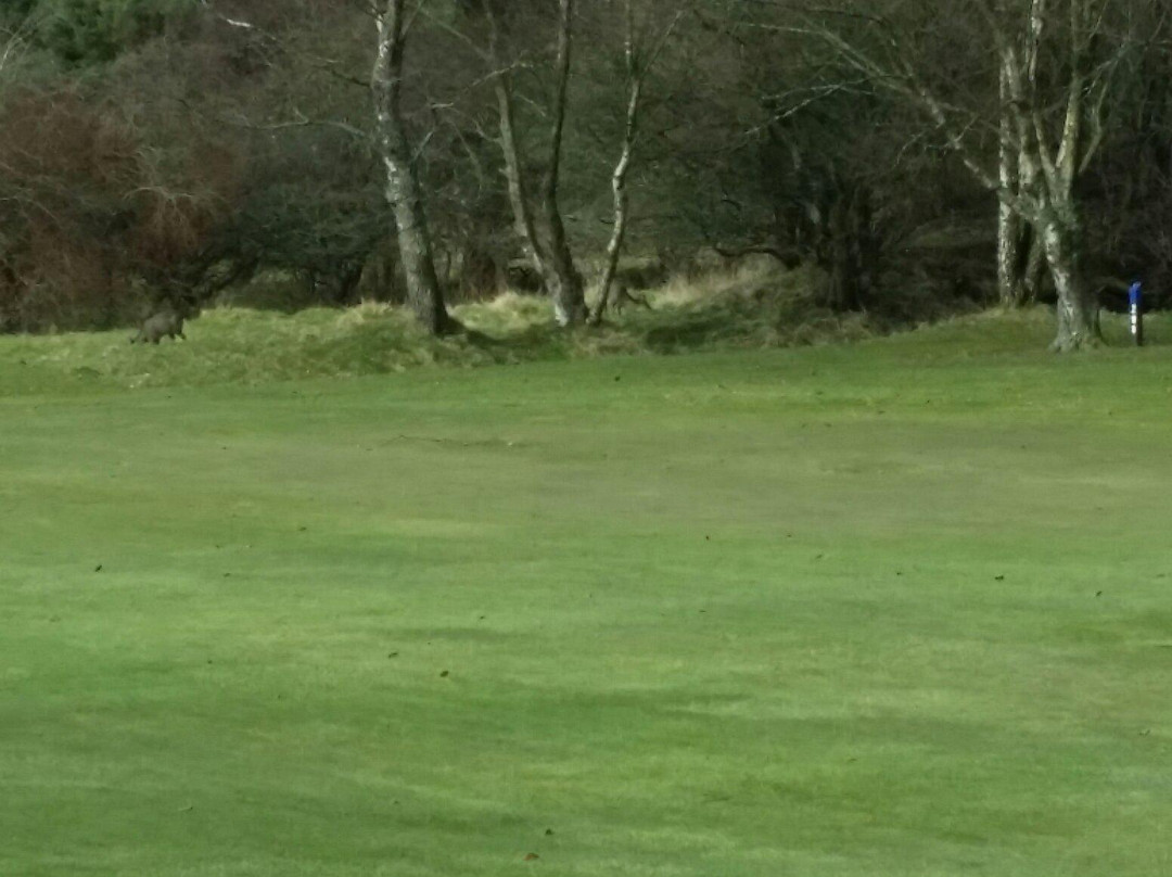 The Bishopbriggs Golf Club-格拉斯哥必去景点