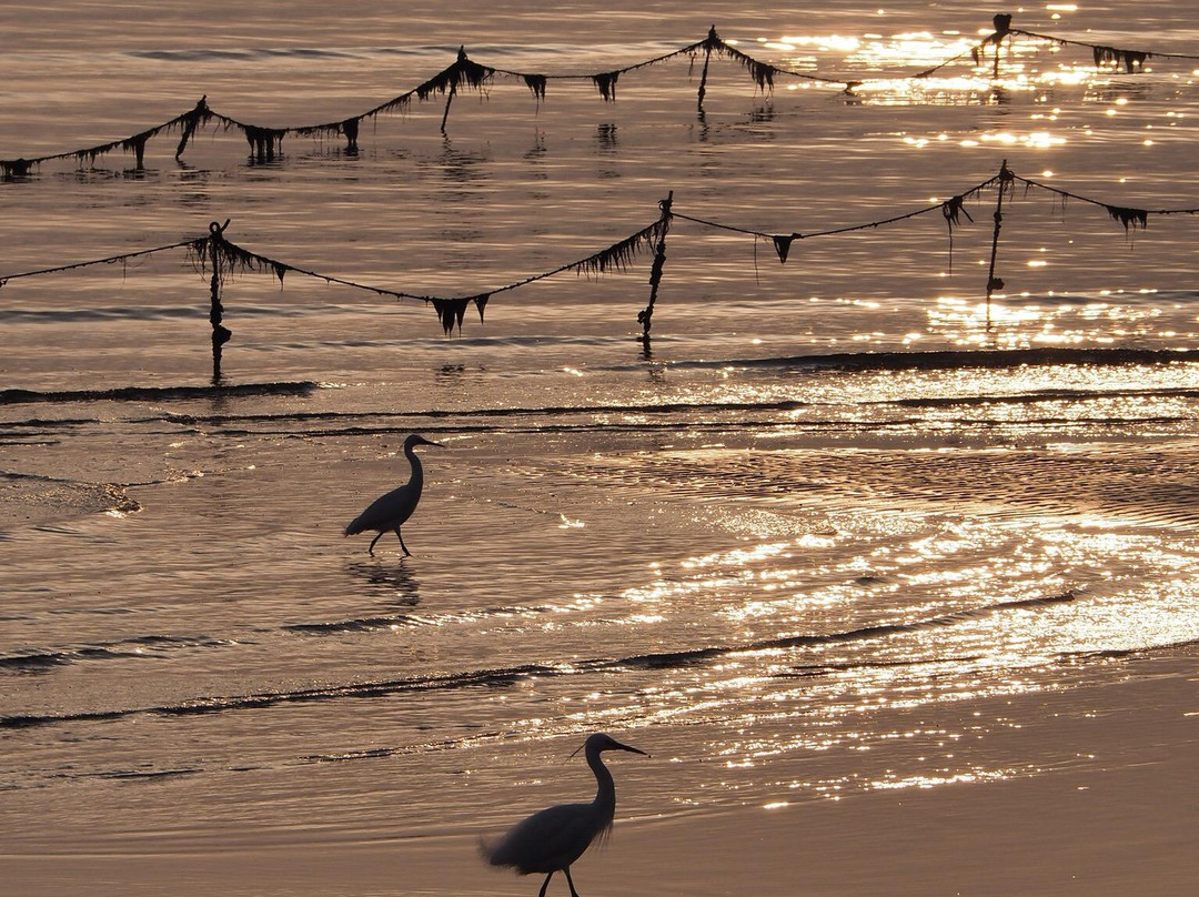 Shimmaiko Beach-龙野市必去景点
