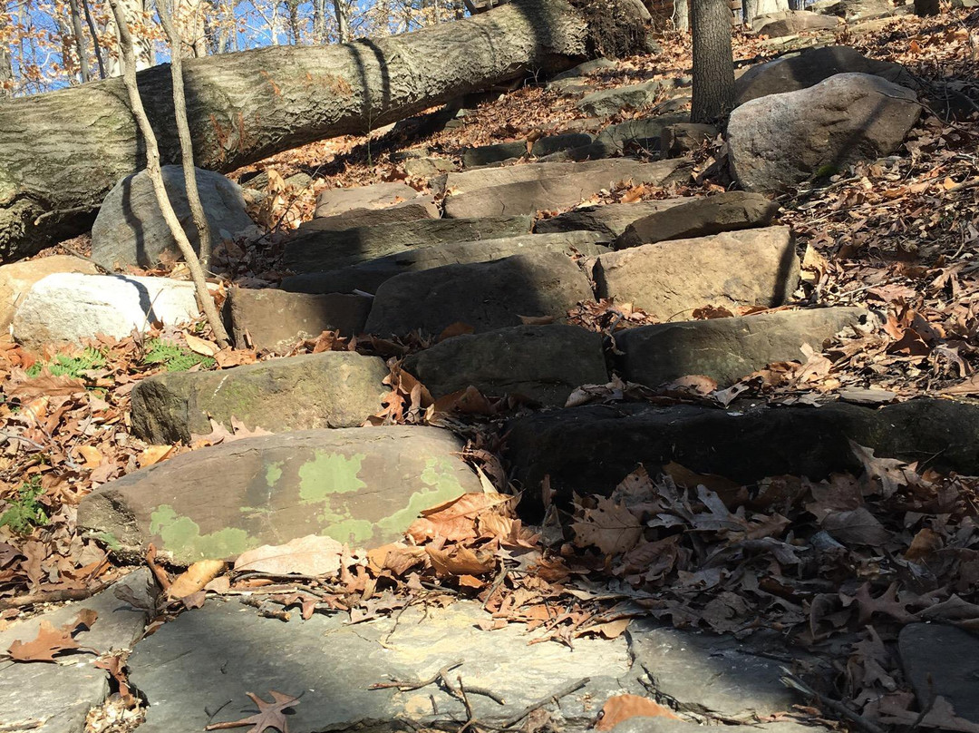 Winkler Botanical Preserve-亚历山德里亚必去景点