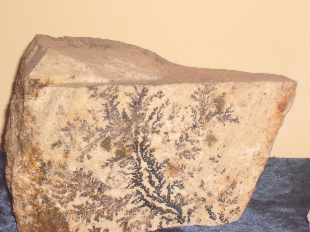 Mineral Museum景点图片