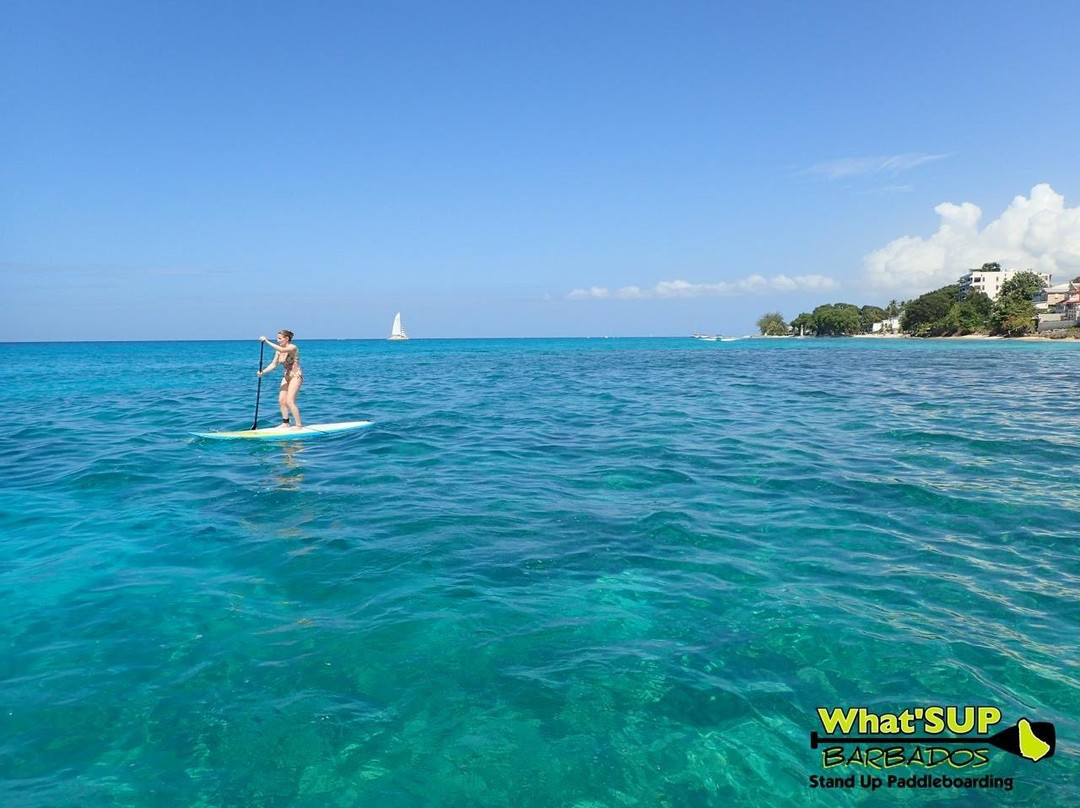 What' SUP Barbados-布里奇顿必去景点