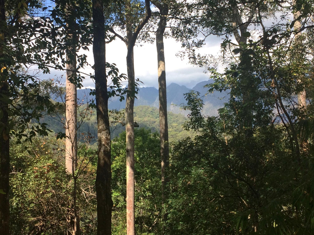 Barking Gecko Travel - Day Tours-清迈必去景点
