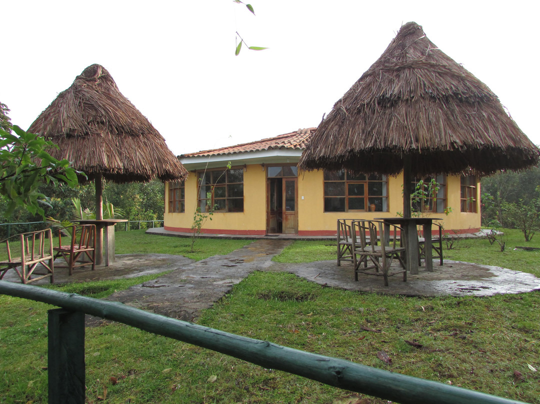 Abra Patricia - Owlet Lodge