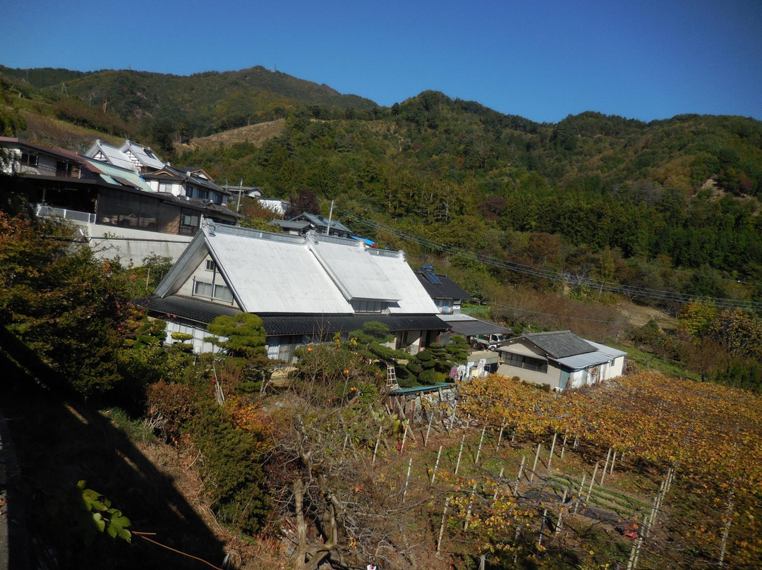 Kamijo Shuraku景点图片