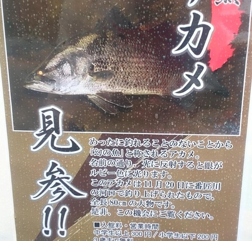 Yayoi Michi-no-Eki-佐伯市必去景点