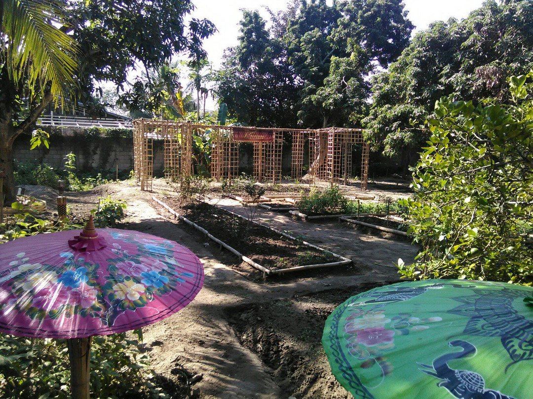 The Little Kitchen Thai Cookery School-雷沙革必去景点