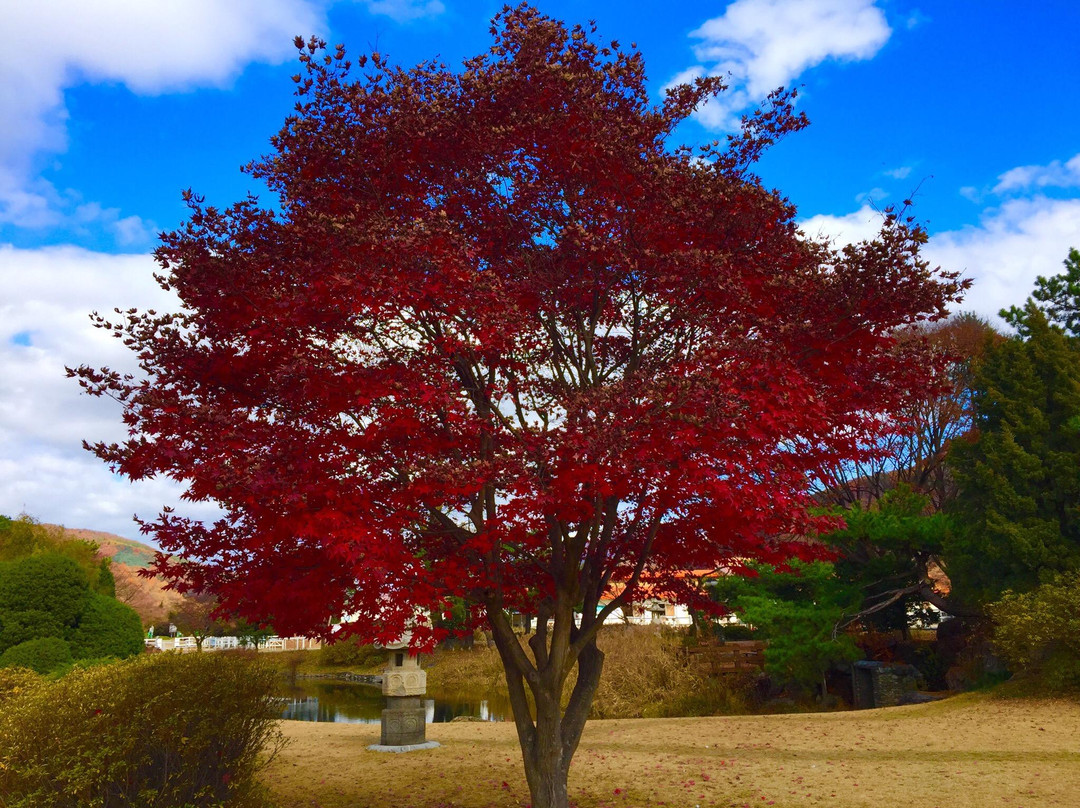 Seowoon Park-抱川市必去景点