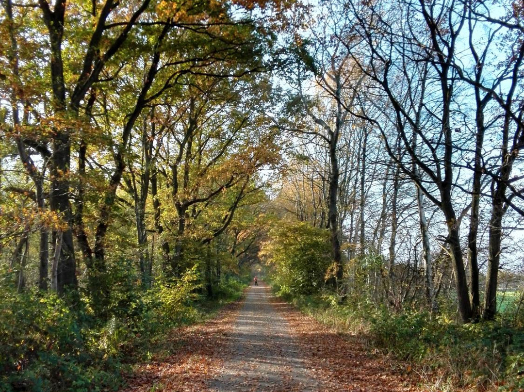Naturschtuzgebiet Holtigbaum-汉堡必去景点