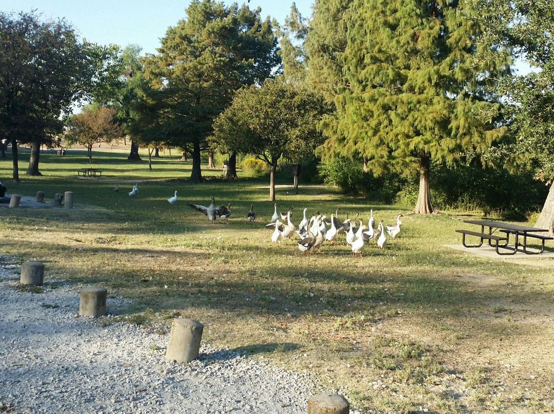 白岩湖公园-达拉斯必去景点