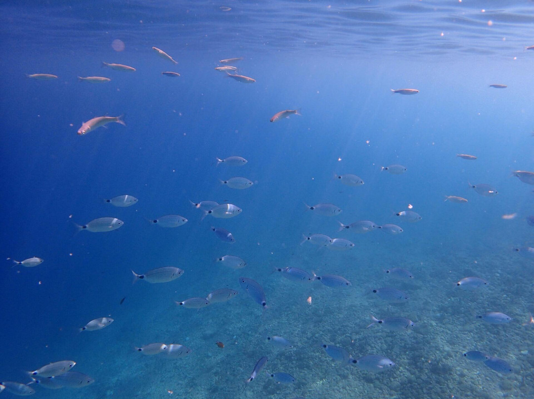 Antisamos Beach-萨米必去景点