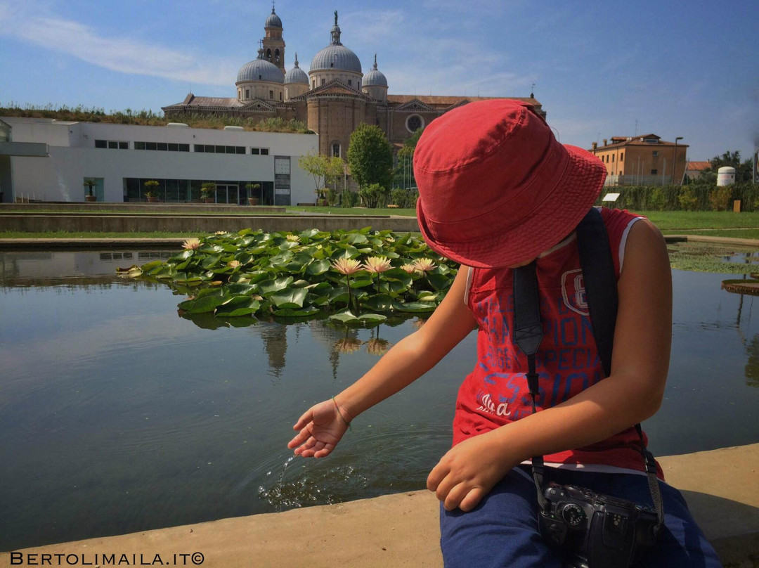Guida Turistica Padova Bertoli Maila - Day Tour-帕多瓦必去景点