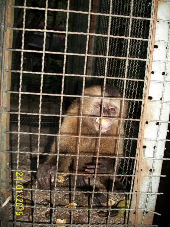 Hacienda Aguamiel-官方