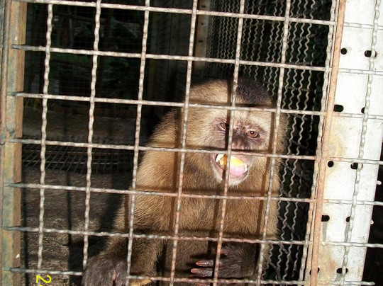 Hacienda Aguamiel主图