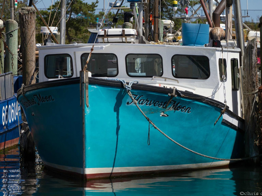 Port Of Galilee-纳拉干西特必去景点