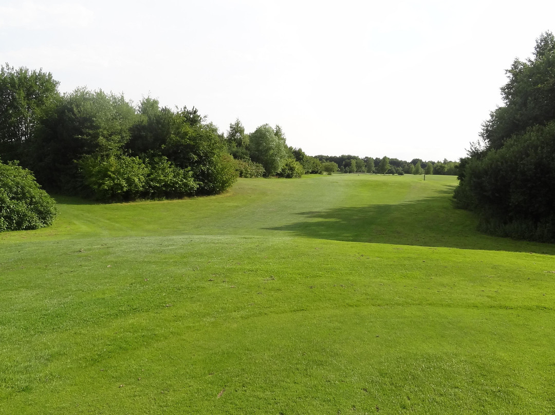 Golf in Hude景点图片