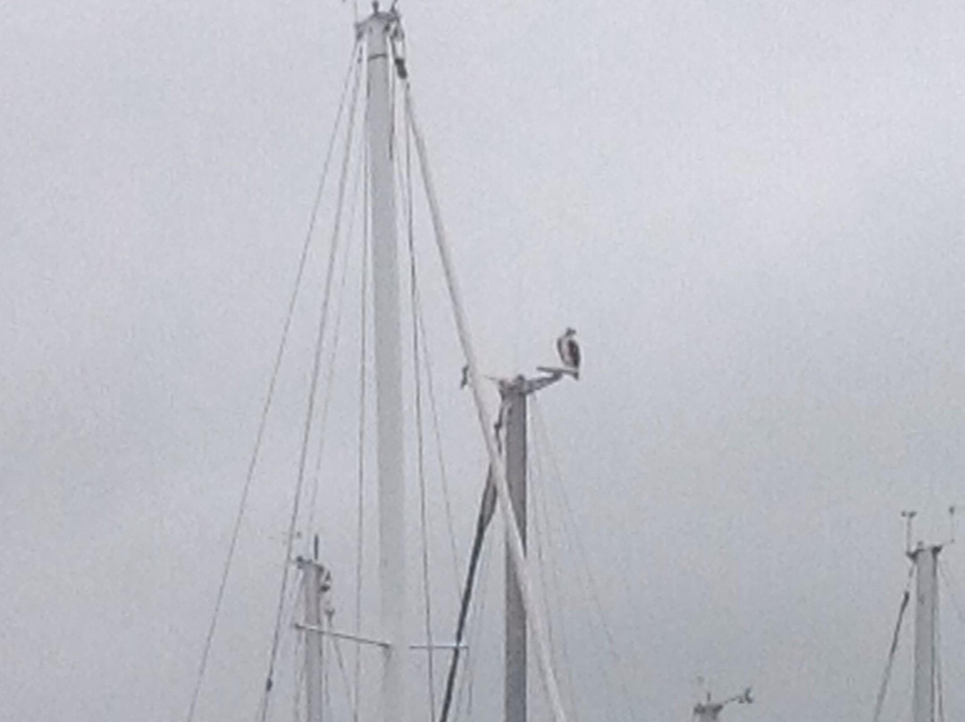 Safe Harbor Port Milford-米尔福德必去景点