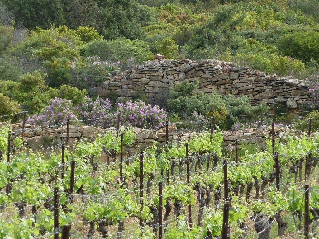 Domaine De Roquemale-Villeveyrac必去景点