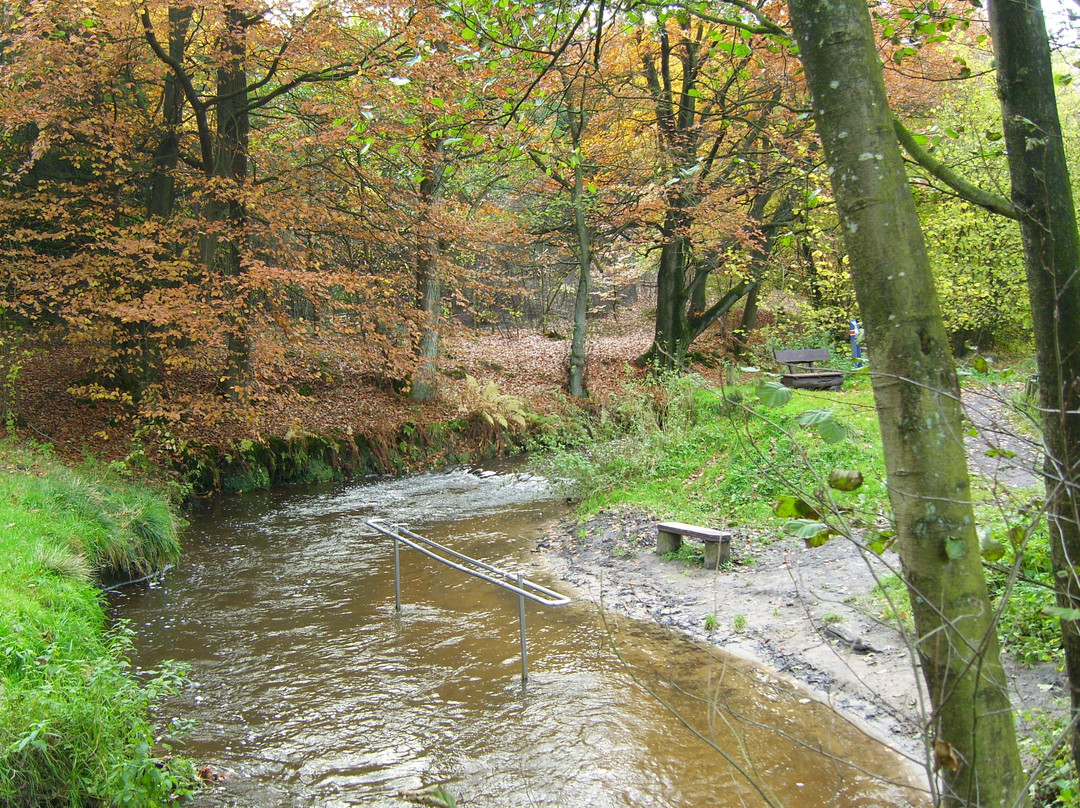 Albersdorf旅游攻略图片