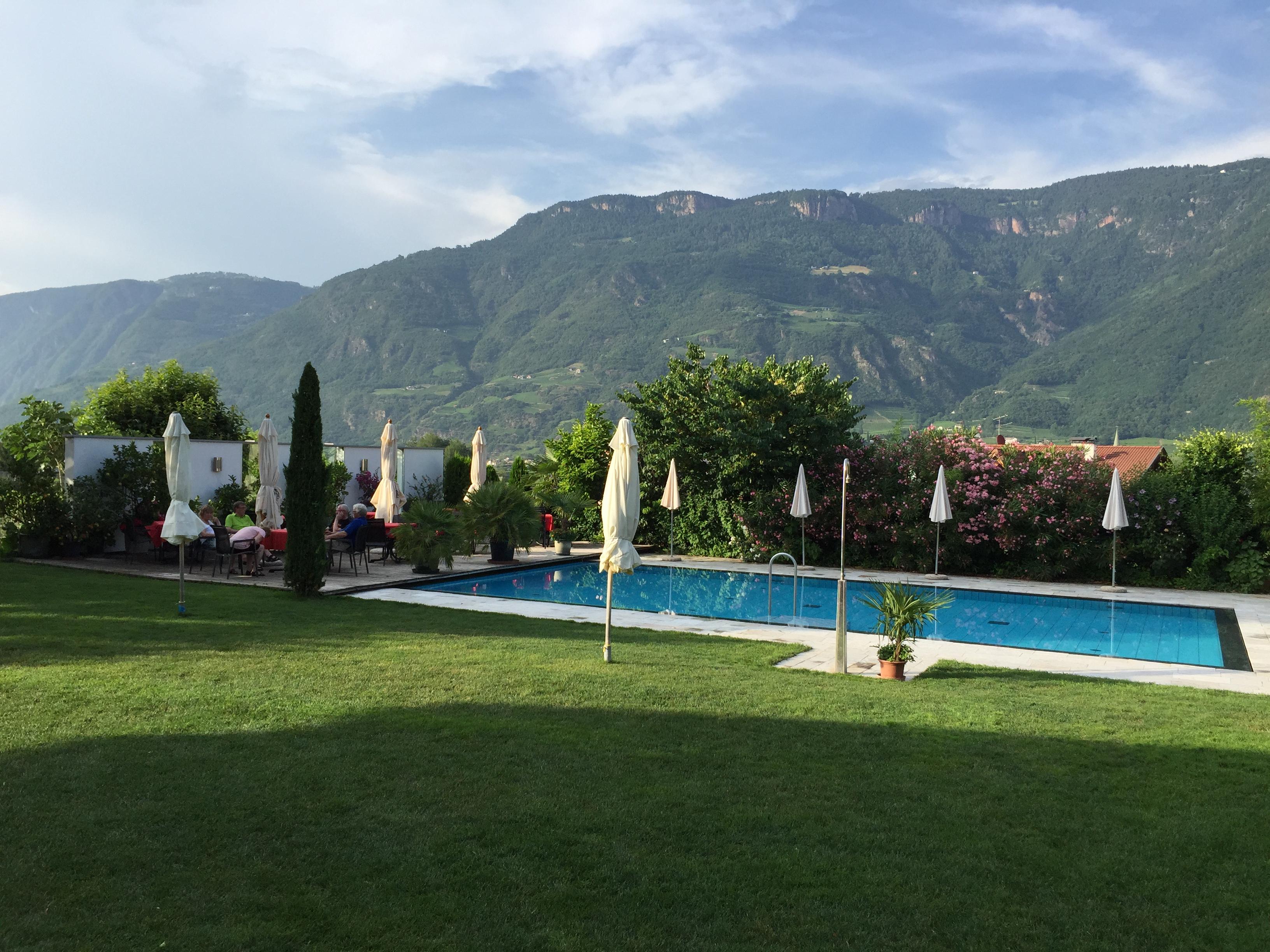 Hotel Gantkofel-泳池