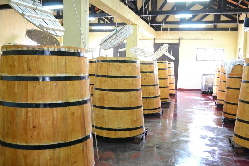 Rotenberg Winery景点图片