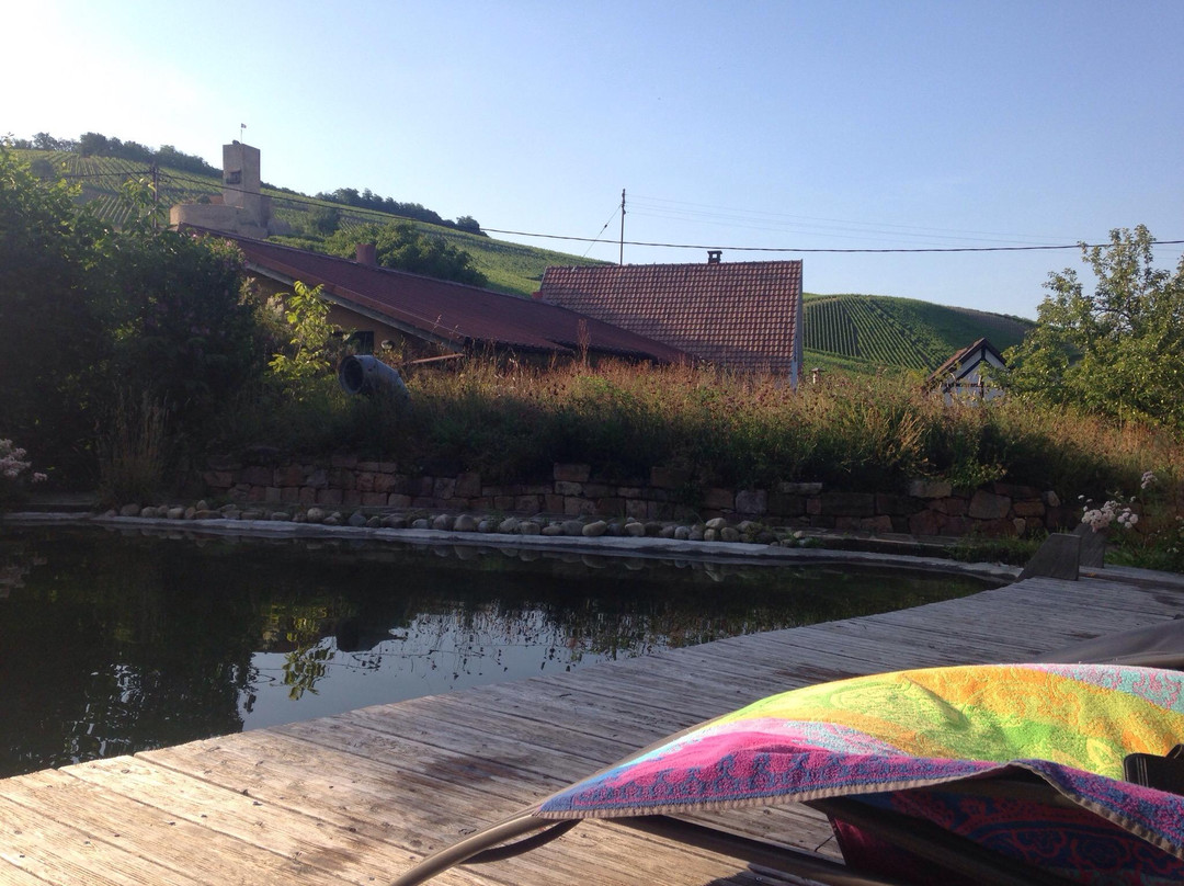 Eco-Logis du Vignoble