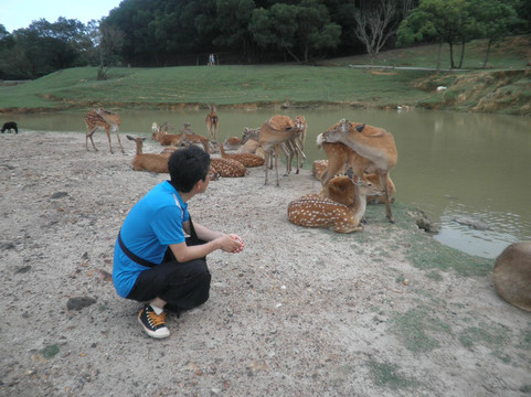 厦门海沧野生动物园-厦门市必去景点