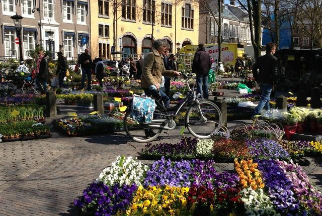 Bloemenmarkt, Janskerkhof, Utrecht-乌特勒支必去景点