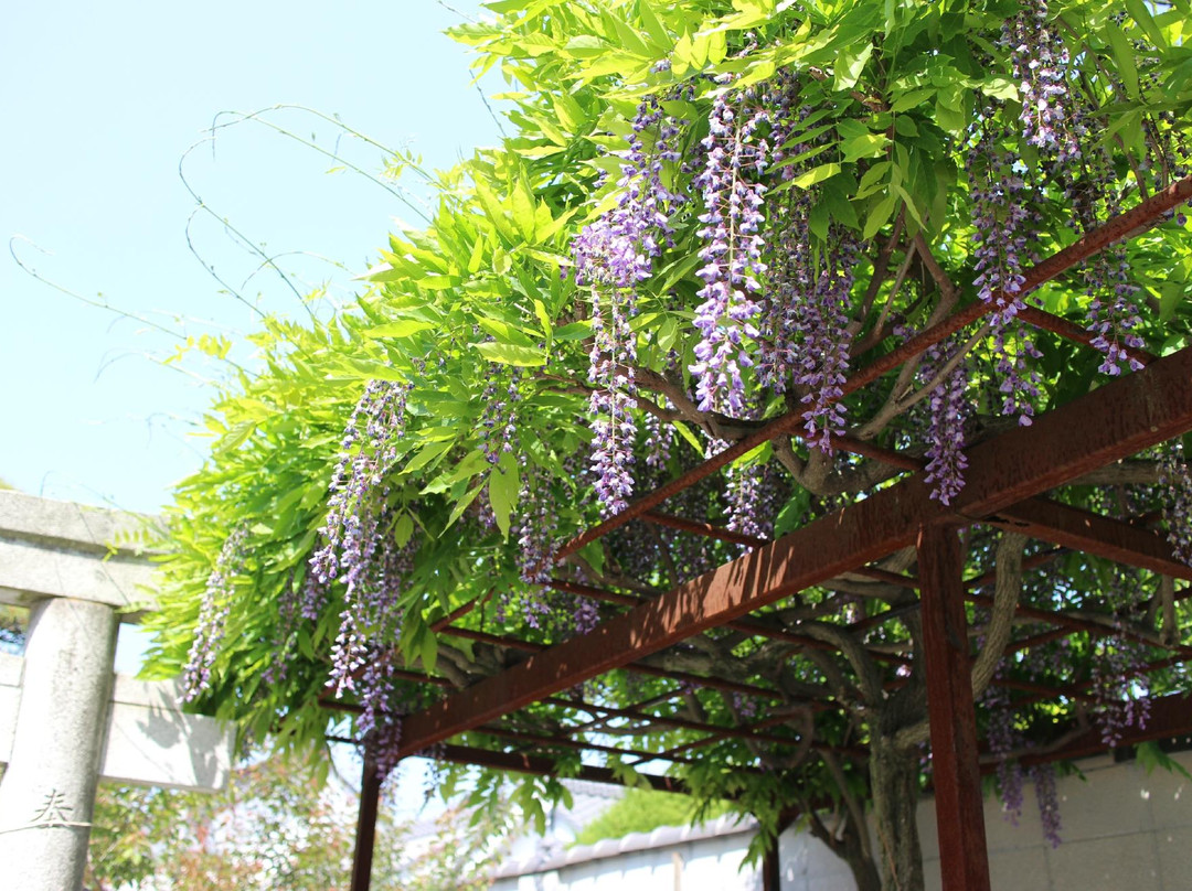 Sakasafuji Temman Shrine-足利市必去景点