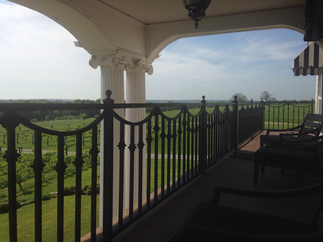 Tara Vineyard & Winery-Athens必去景点