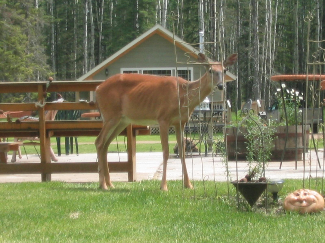 Lost Creek Resort