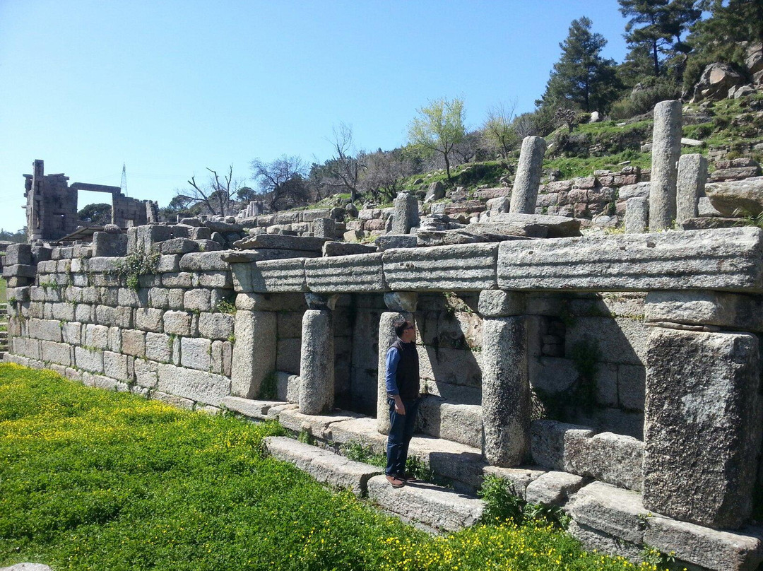 Labranda Ruins景点图片