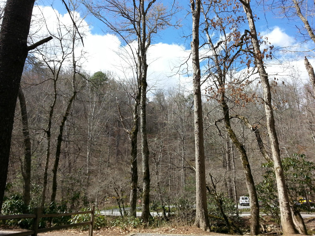Deep Creek Tube Center景点图片