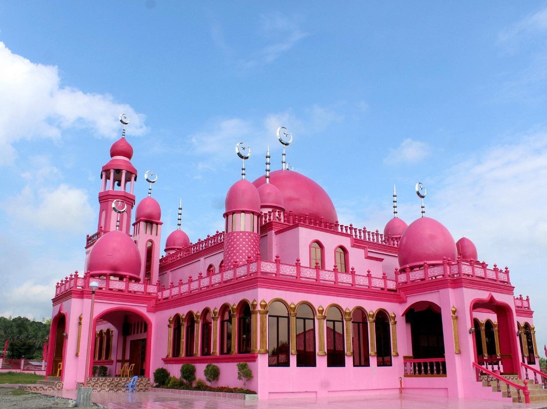 Masjid Dimaukom (Pink Mosque)-Datu Saudi Ampatuan必去景点