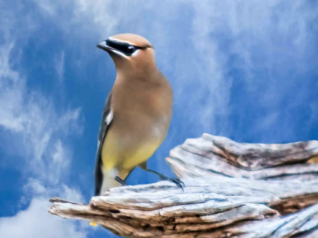 Kreutzberg Canyon Natural Area-Boerne必去景点