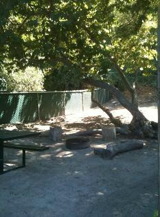Kaweah Oaks Campground